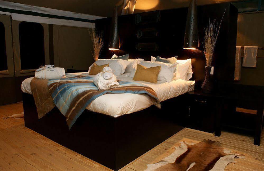 Moon Mountain Lodge Constantia Εξωτερικό φωτογραφία